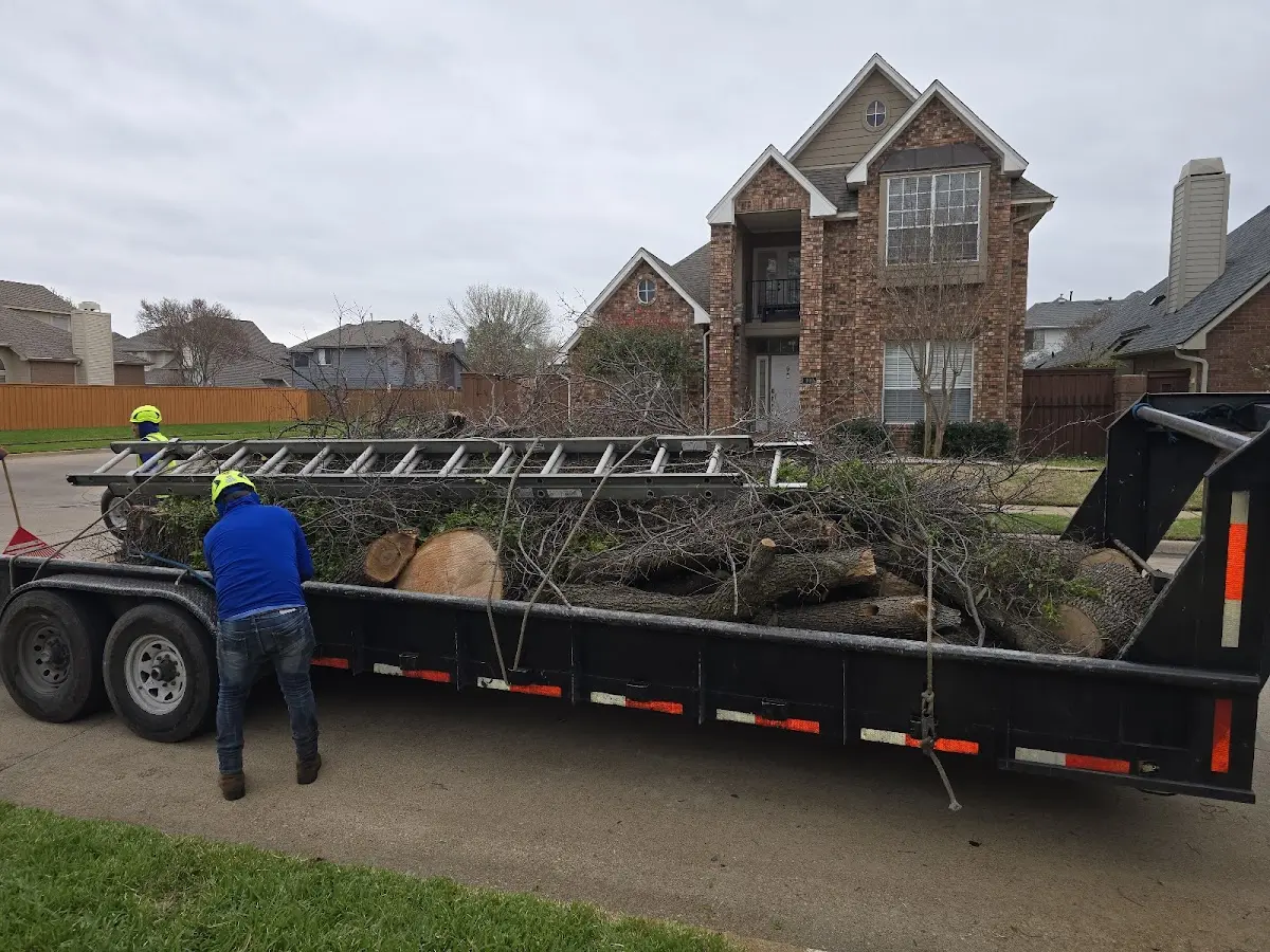 Expert Tree Fertilization with proper safety equipment in Harwood